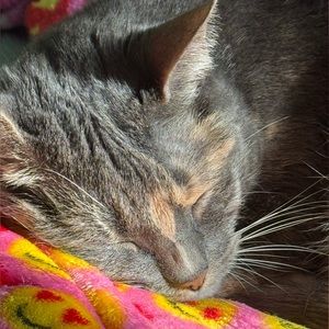 Meet your Posher, Anand